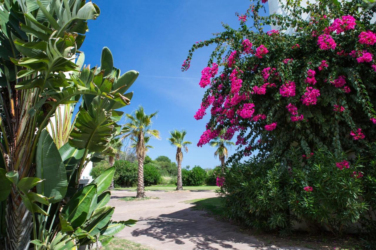 Hotel Flamingo Santa Margherita di Pula Eksteriør billede